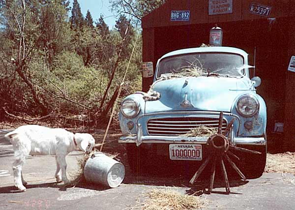 Studebaker Champion (front