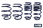 TMS33337RACE - Turner Motorsport-H&R Race Spring Set for Mini Cooper S